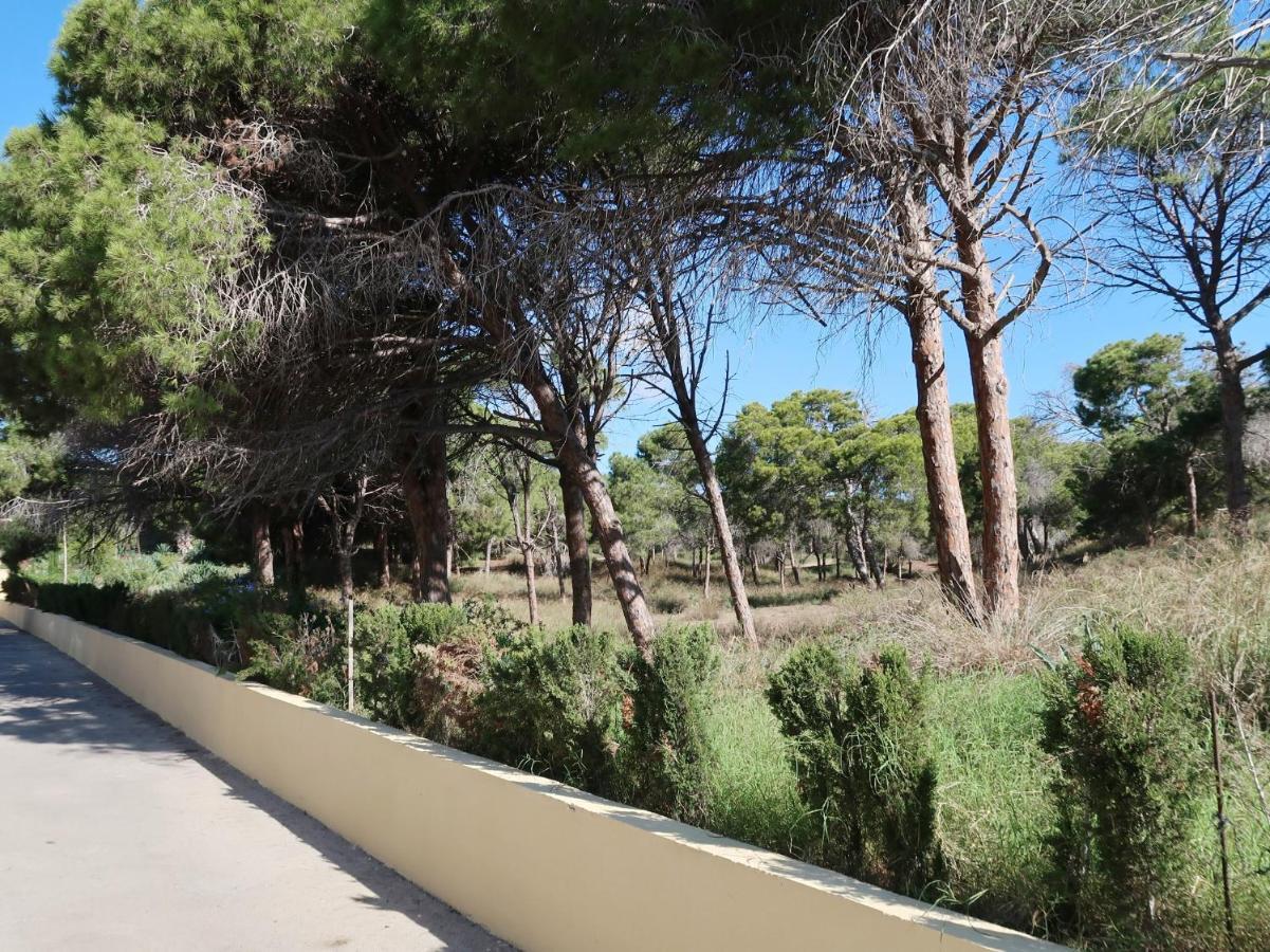 Emilia De La Playa Apartamento La Mata  Exterior foto